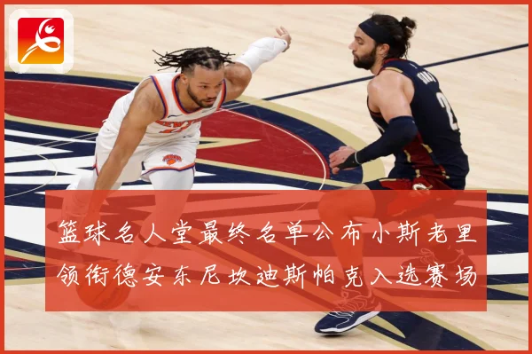 篮球名人堂最终名单公布小斯老里领衔德安东尼坎迪斯帕克入选赛场复盘-深度解析