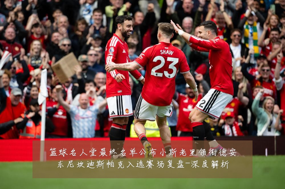 篮球名人堂最终名单公布小斯老里领衔德安东尼坎迪斯帕克入选赛场复盘-深度解析